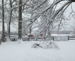Winter-Snow-on-the-Farm-768x1024